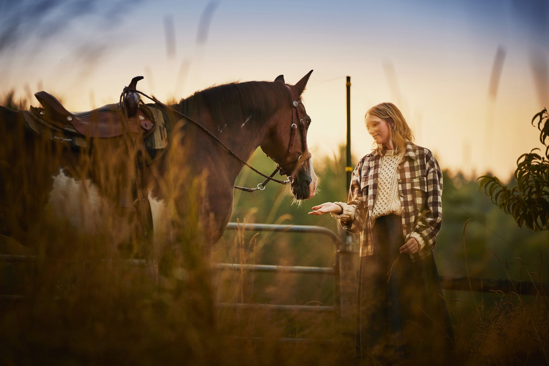 Woman greeting a saddled horse over a gate at dusk, equestrian lifestyle photography by Rory Scranton for the Norumbega Farm project.